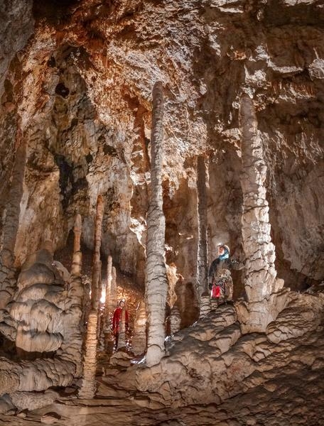 Thumbnail of photo from this article